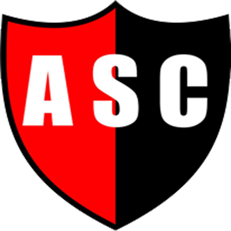 Andino Sport Club