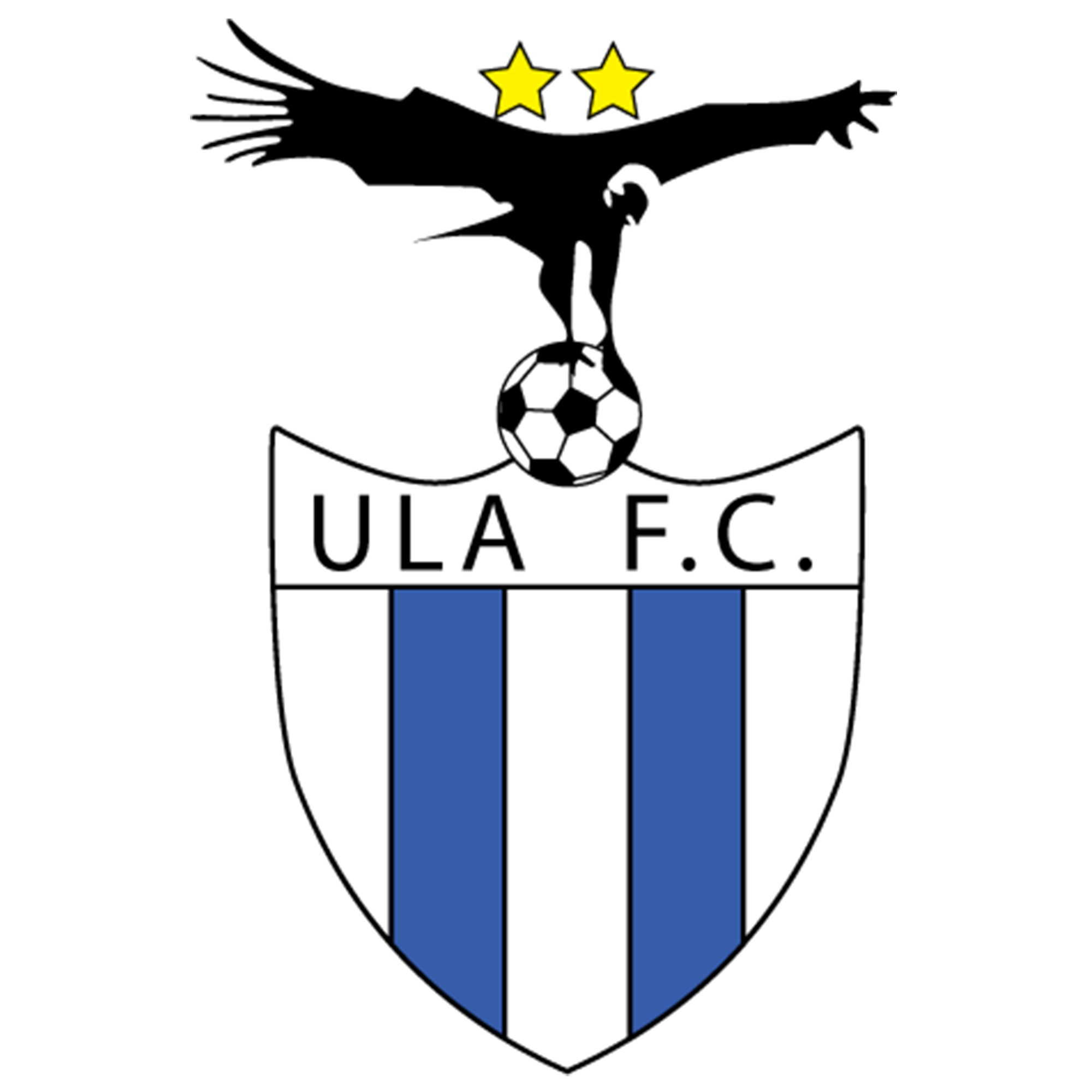 Unión Local Andina Fútbol Club