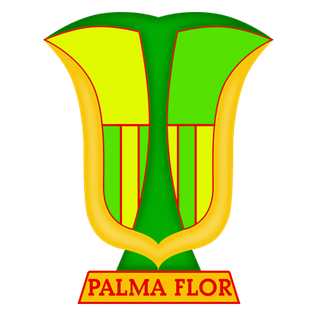 Club Atlético Palmaflor