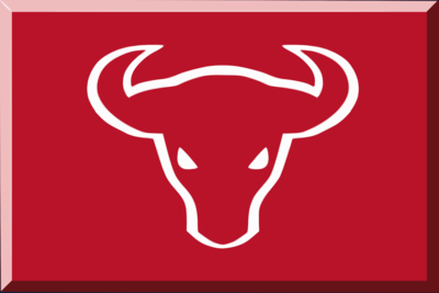 Toros Neza