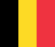 Club Brujas bandera